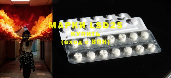 PSILOCYBIN Михайлов
