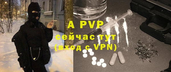 apvp Верея