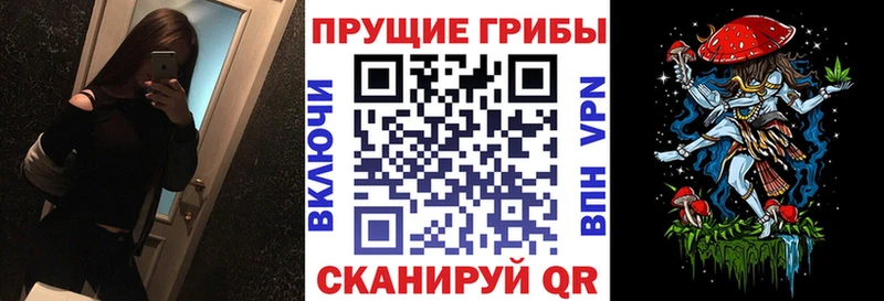 Псилоцибиновые грибы Magic Shrooms  где продают   Яранск 